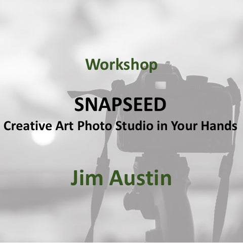 Workshop with Austin | SNAPSEED: CREATIVE ART PHOTO STUDIO IN YOUR HANDS