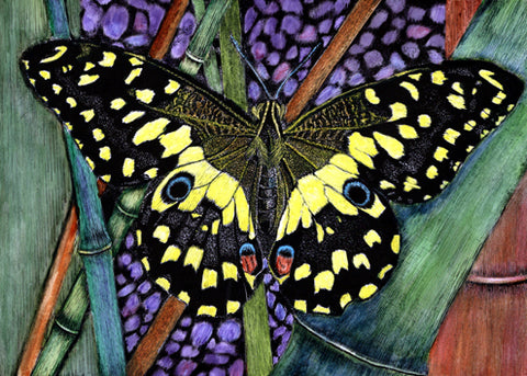 Draw & Paint with Gartner | SCRATCHBOARD ART
