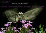 Photography with Austin | SNAPSEED: CREATIVE ART PHOTO STUDIO IN YOUR HANDS