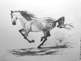 Draw & Paint with Pommier | OIL PAINTING & PORTRAITS | All Levels