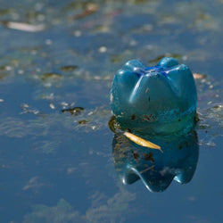 Stop Ocean Plastic in Rivers