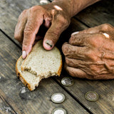Trees to Combat Hunger and Poverty