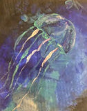 Workshop with Tamsett | Jellyfish with Acrylics | Morning