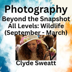 Photography with Sweatt | BEYOND THE SNAPSHOT | Wildlife