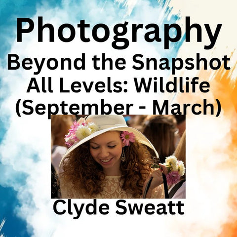 Photography with Sweatt | BEYOND THE SNAPSHOT | Wildlife