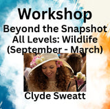 Workshop with Sweatt | BEYOND THE SNAPSHOT | Wildlife