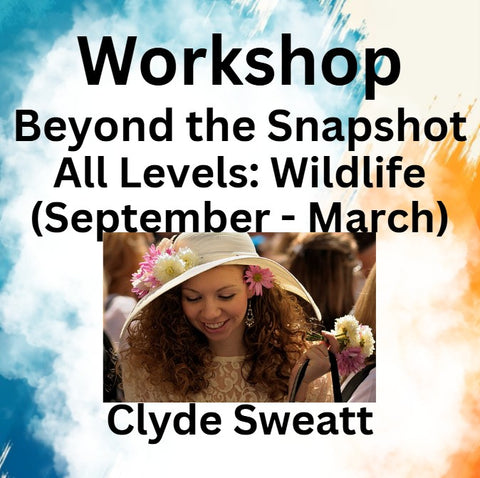 Workshop with Sweatt | BEYOND THE SNAPSHOT | Wildlife