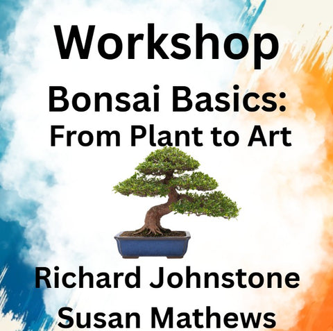 Workshop with Johnstone | BONSAI BASICS: FROM PLANT TO ART