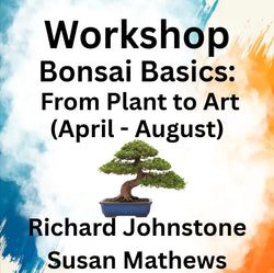 Workshop with Johnstone | BONSAI BASICS: FROM PLANT TO ART