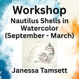 Workshop with Tamsett | Nautilus Shells