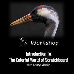 Workshop with Unwin - INTRODUCTION TO THE COLORFUL WORLD OF SCRATCHBOARD