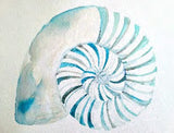 Workshop with Tamsett | Nautilus Shells