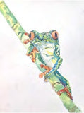 Workshop with Tamsett | Tree Frog in Watercolor | Morning
