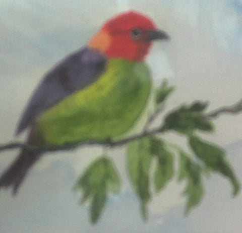 Gift Shop - Sandra Busher